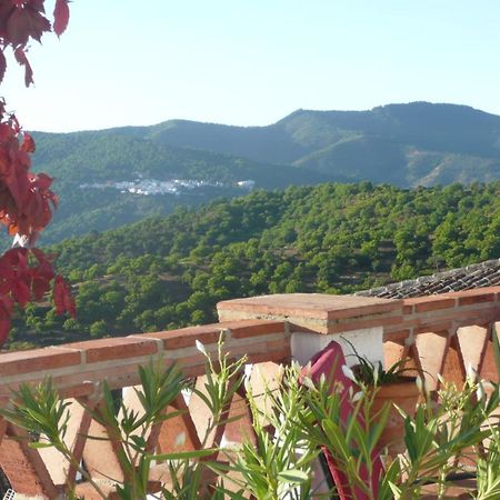 Hotel Los Castanos (Adults Only) Cartajima Εξωτερικό φωτογραφία