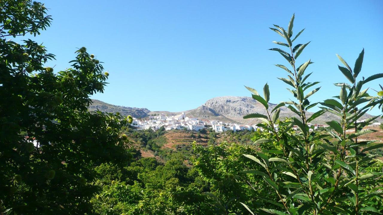 Hotel Los Castanos (Adults Only) Cartajima Εξωτερικό φωτογραφία